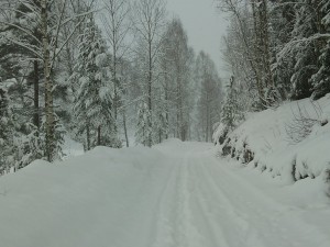 Snöjogging